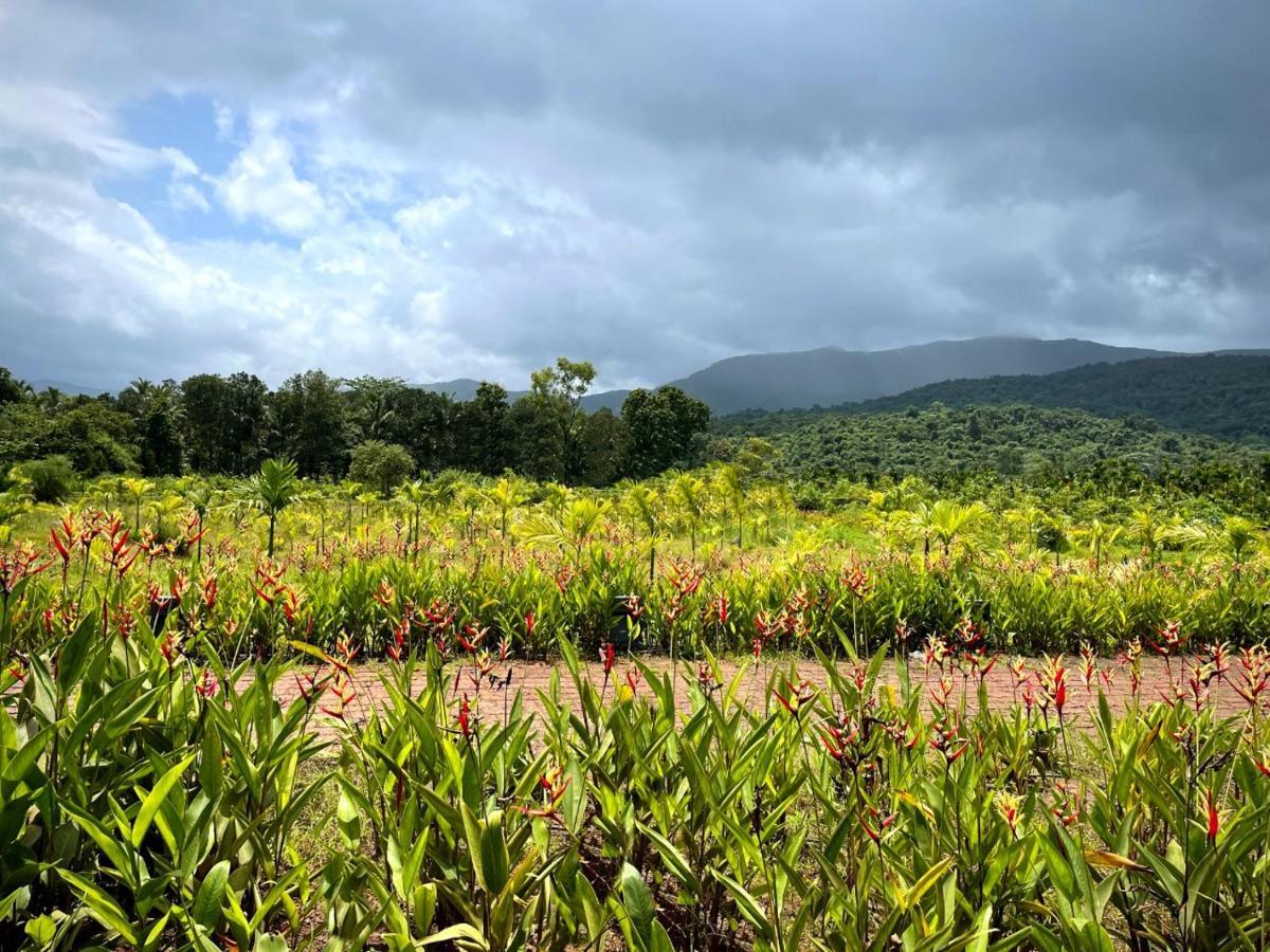 The Postcard Hideaway, Netravali Wildlife Sanctuary, Goa Hotell Vichondrem Exteriör bild