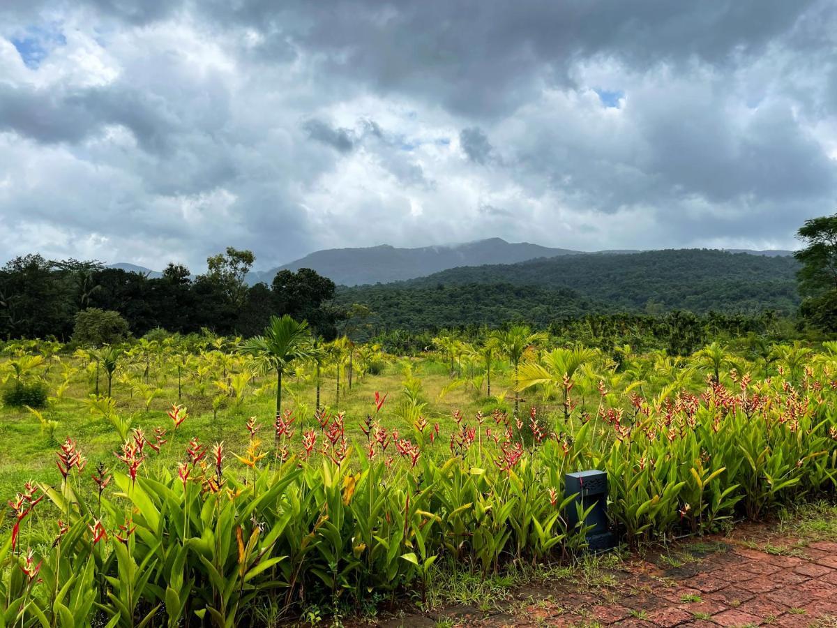 The Postcard Hideaway, Netravali Wildlife Sanctuary, Goa Hotell Vichondrem Exteriör bild