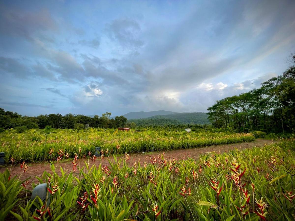 The Postcard Hideaway, Netravali Wildlife Sanctuary, Goa Hotell Vichondrem Exteriör bild