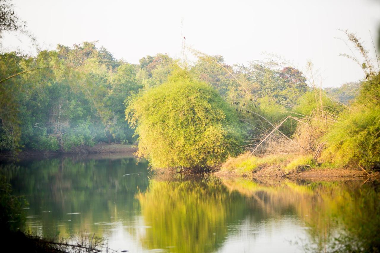 The Postcard Hideaway, Netravali Wildlife Sanctuary, Goa Hotell Vichondrem Exteriör bild