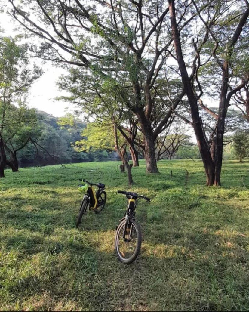 The Postcard Hideaway, Netravali Wildlife Sanctuary, Goa Hotell Vichondrem Exteriör bild